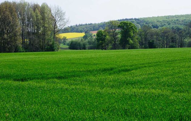 corner of ireland